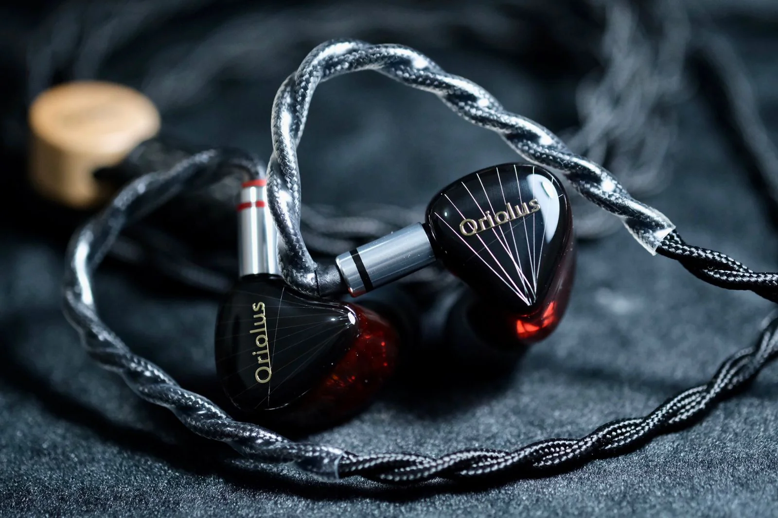 Oriolus Traillii JP Black and Red